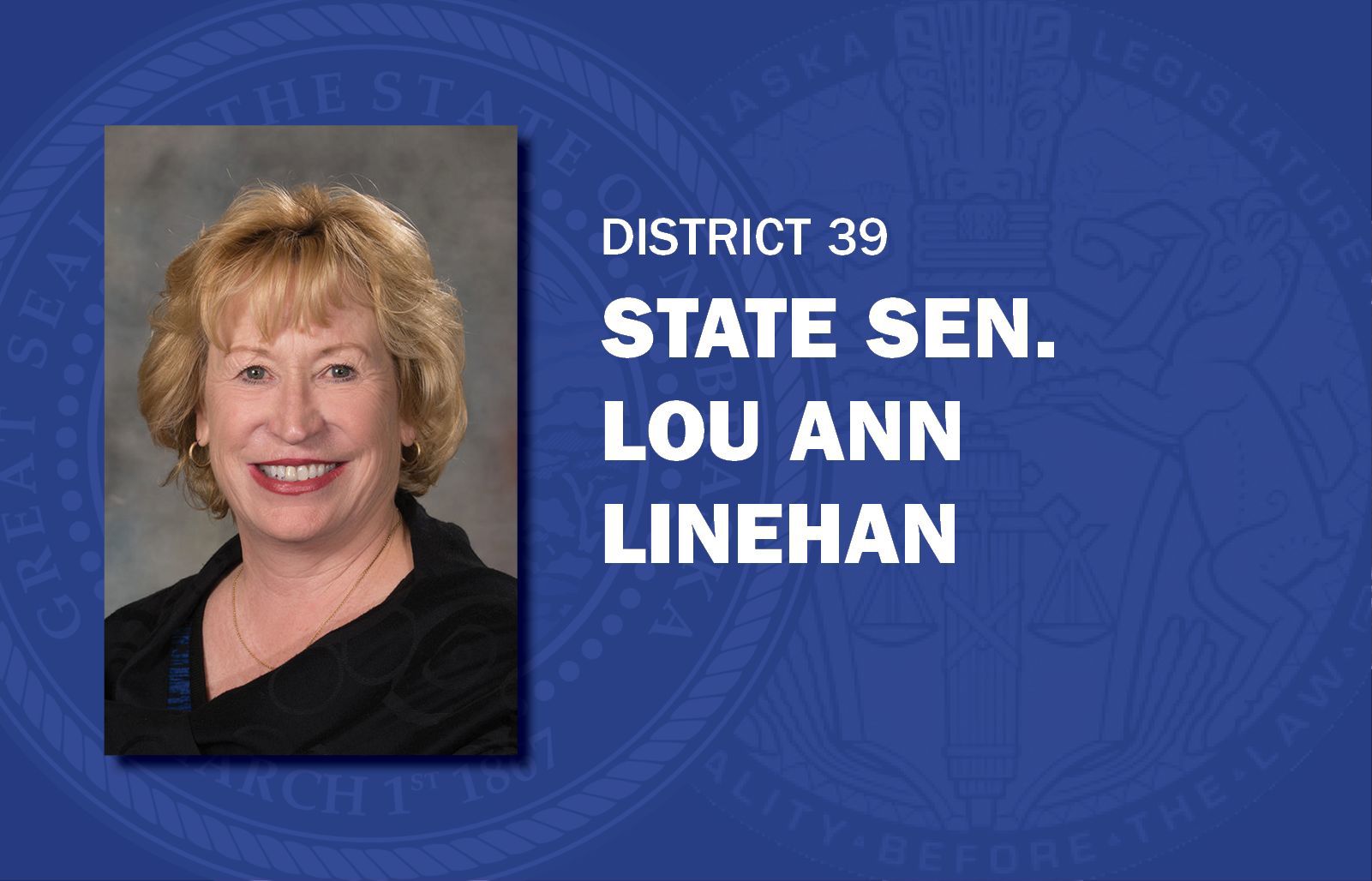 Lou Ann Linehan mug senators